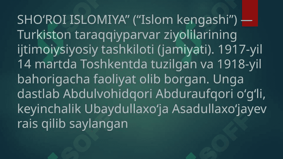Sho’roi Islomiya tashkiloting tuzilishi va ularning faoliyati 2