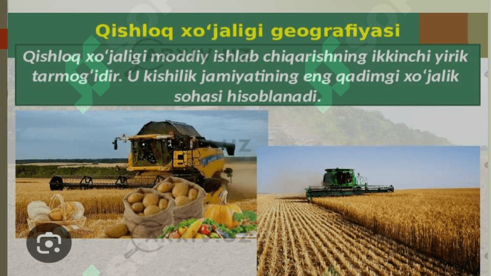 Qishloq xo’jaligi va sanoat sohasidagi o’zgarishlar. 4