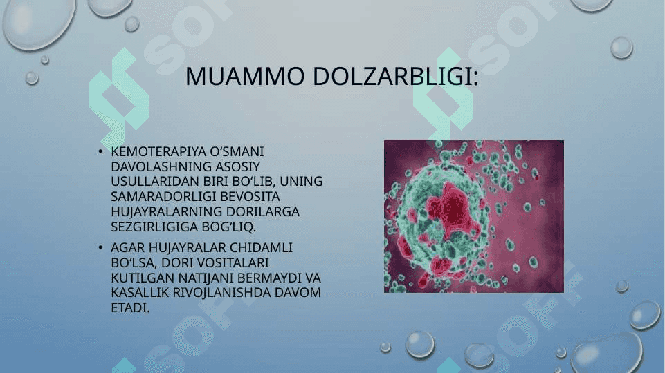 o’sma hujayralarining kimyoviy dori vositalariga multirezistenlik 4