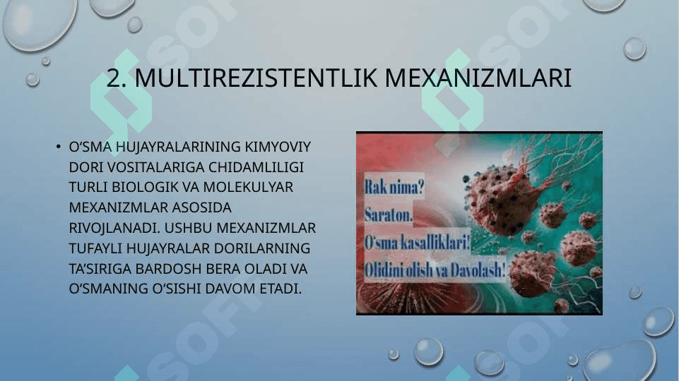 o’sma hujayralarining kimyoviy dori vositalariga multirezistenlik 6