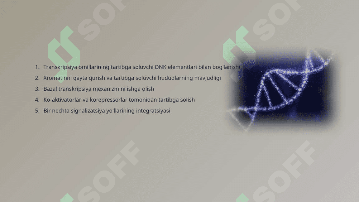 Gen faoliyatining  Boshqarilishi, Hujayra differensirofkasi 5