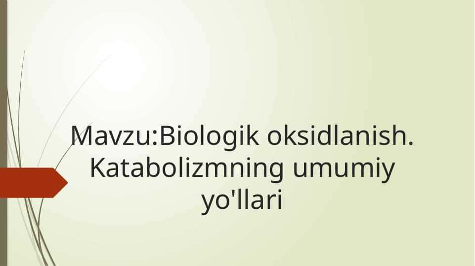 Biologik oksidlanish. Katabolizmning umumiy yo'llari
