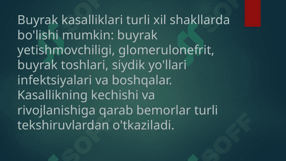 Buyrak kasalligi bilan kasallangan bemorlarni tekshirish rejasi 2