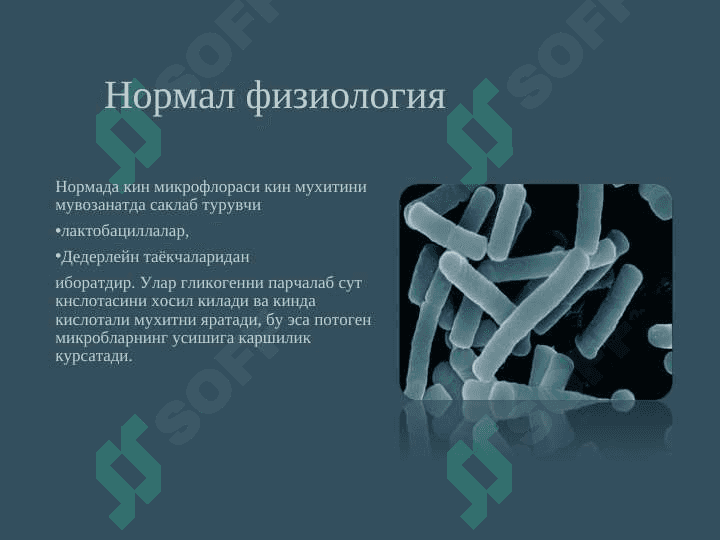 Бактериал вагиноз 4