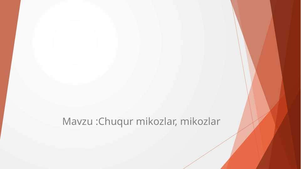 Chuqur mikozlar, mikozlar
