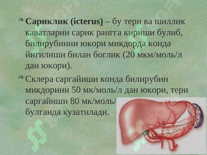 Сариқликнинг  қиёсий ташхисоти 2