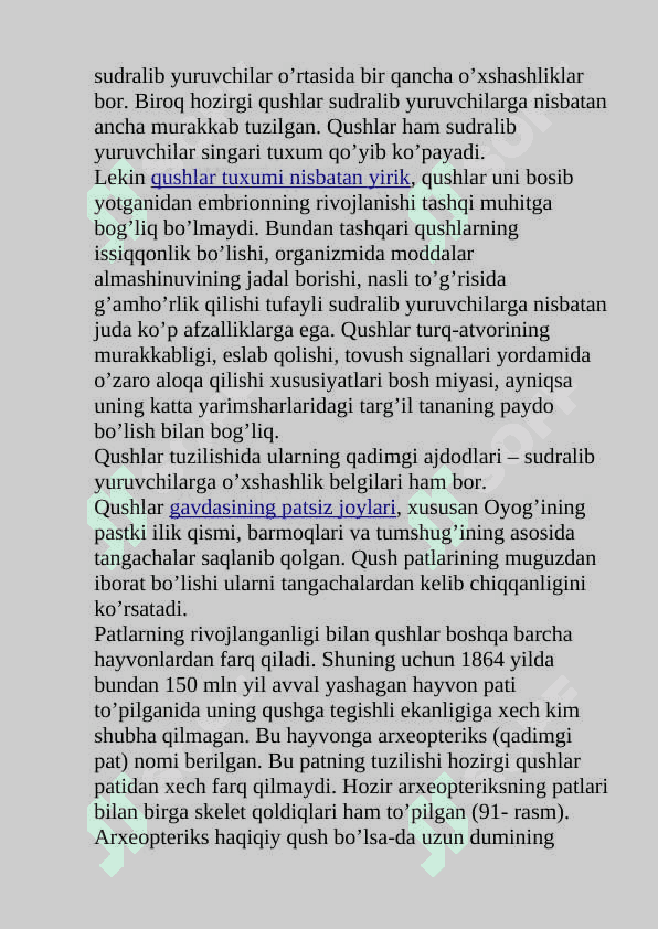 Qushlarning morfologik belgilar va hayot kechirish 4