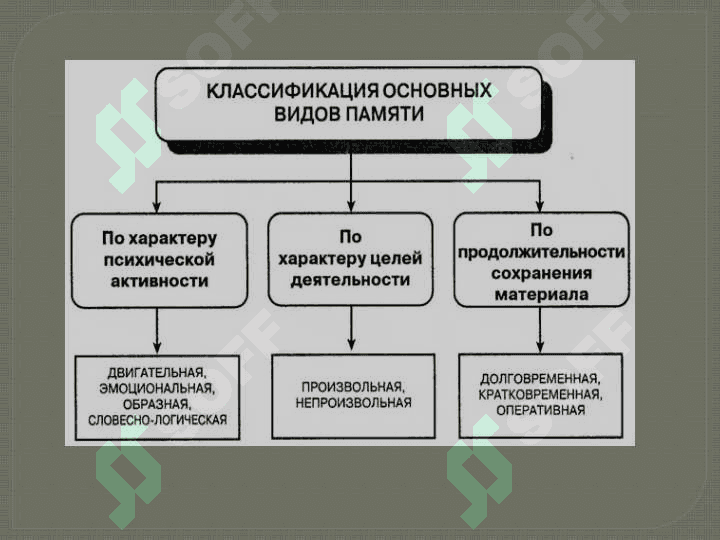 «Явления и свойства памяти» 4