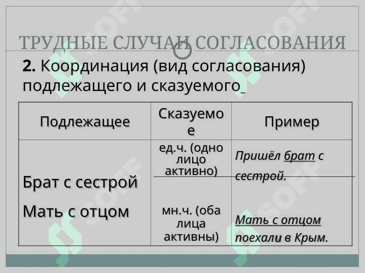 СИНТАКСИЧЕСКИЕ НОРМЫ 8