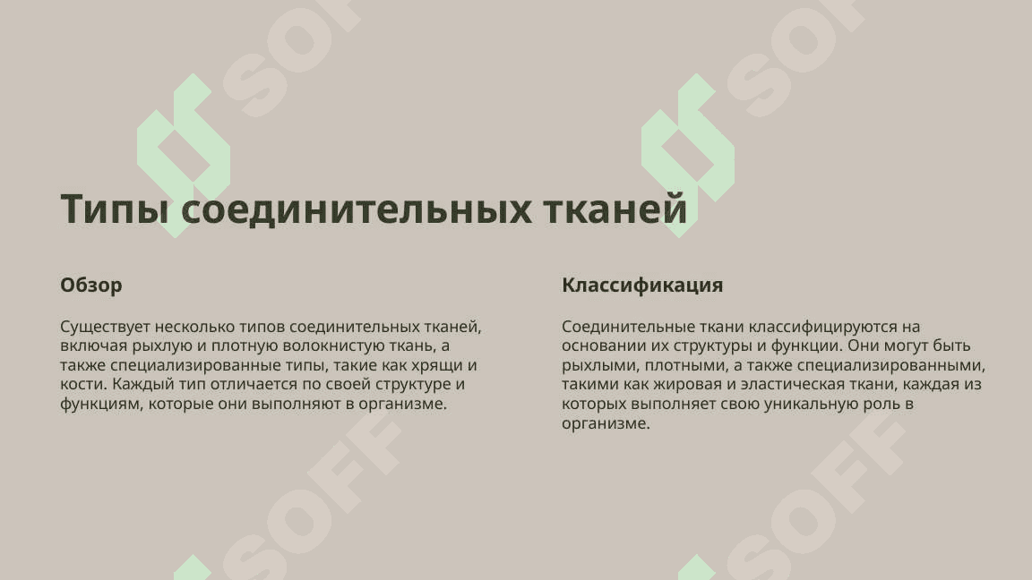 рыхлая волокнистая соединительная ткань 2