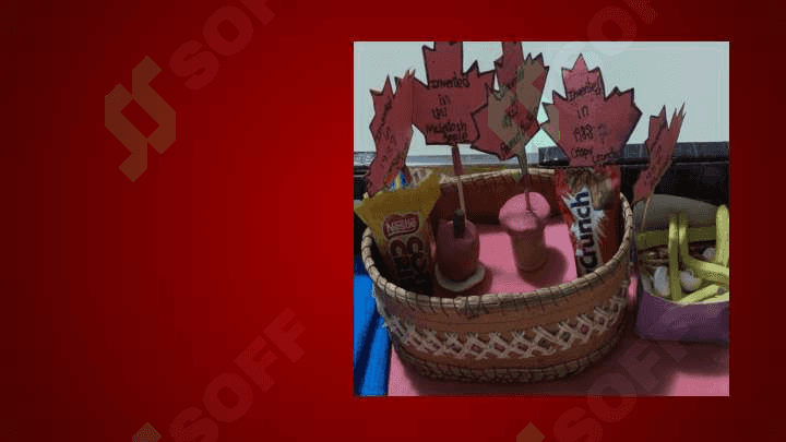 Made in Canada. English lesson 8