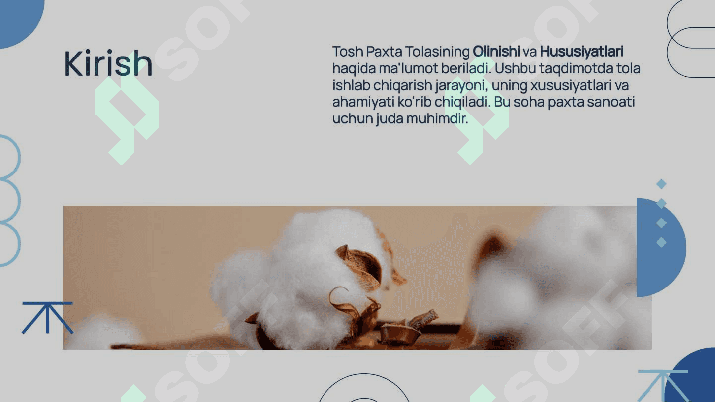 Tosh Paxta Tolasining Olinishi va Uning Hususiyatlari 2