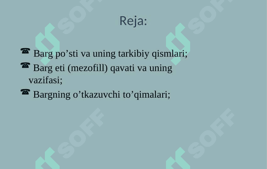 Barglarning ichki tuzilishi 2