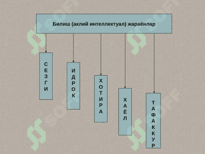 Билиш жараёнлари ва унинг босқичлари 2