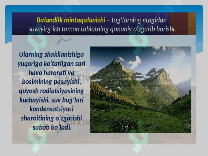 O‘ZBEKISTON SHAROITIDA VERTIKAL MINTAQALAR 3