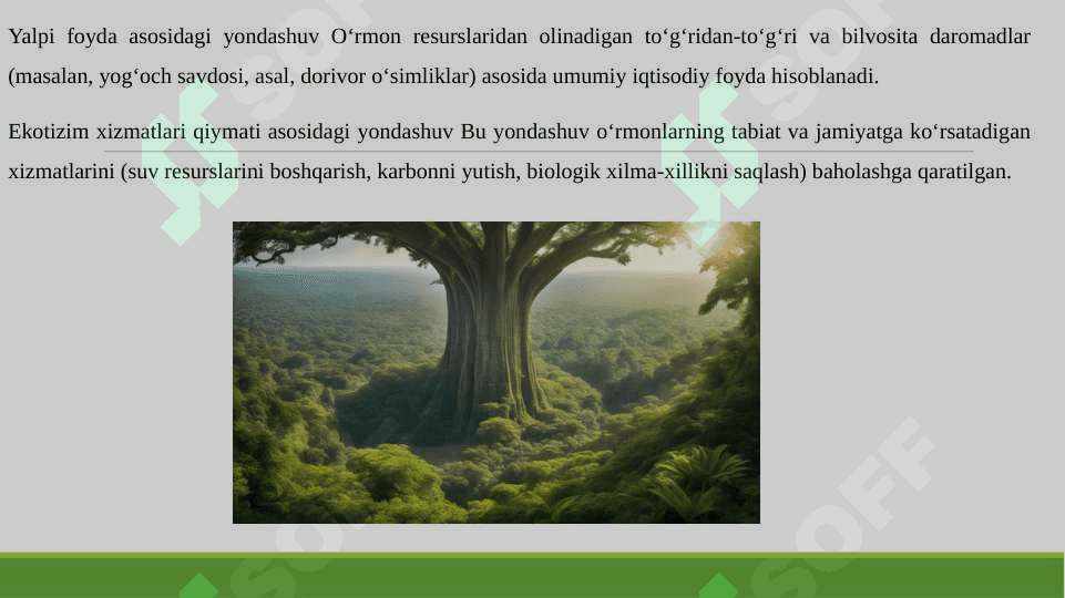 O'RMON RESURSLARINING IQTISODIY QIYMATINI ANIQLASHDA YONDASHUVLAR 6