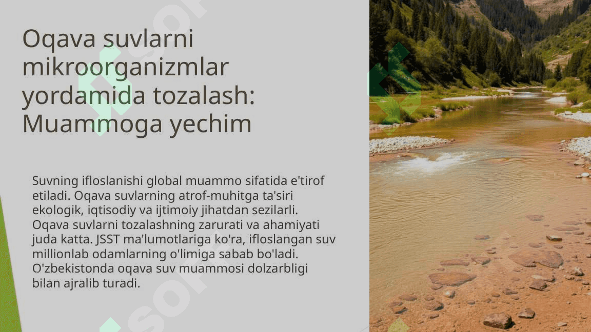 oqava suvlarni mikroorganizmlar yordamida tozalash 2
