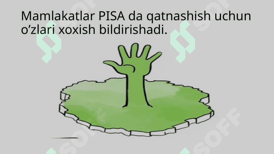 Xalqaro baholash dasturlari 8