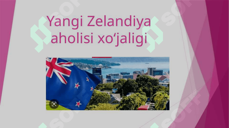 Yangi Zelandiya aholisi xoʻjaligiYangi Zelandiya aholisi xoʻjaligi 2