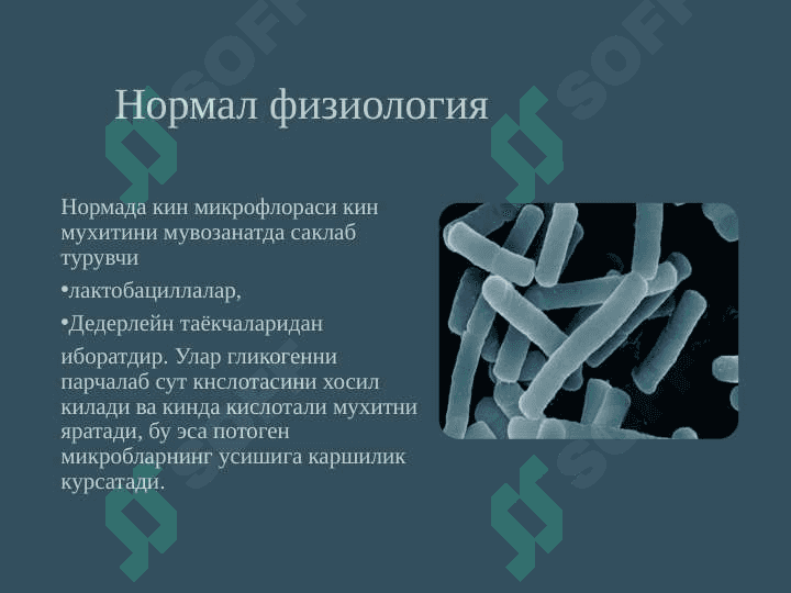 Бактериал вагиноз 4