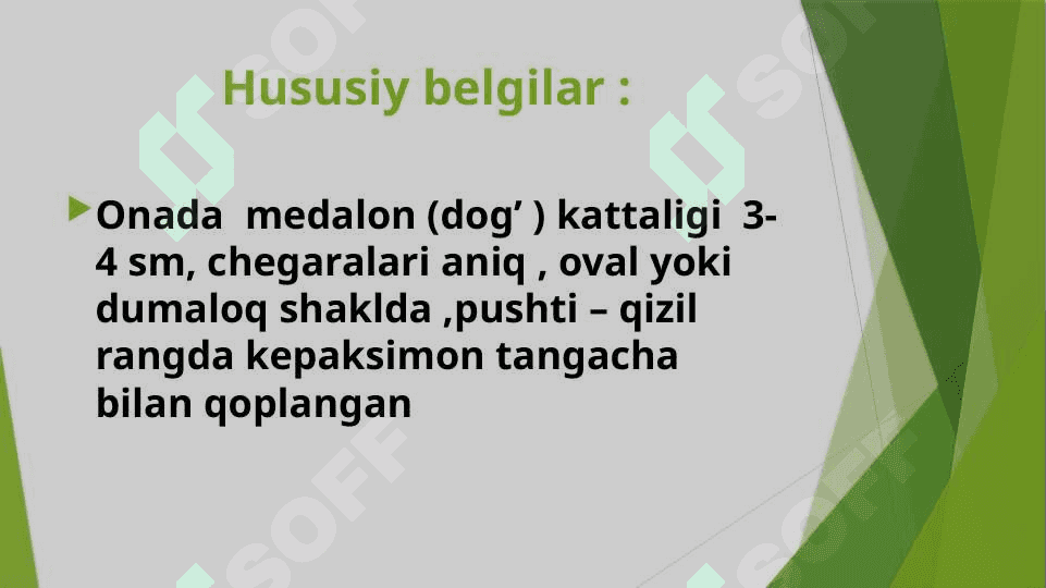 Jiberning pushti temiratkisi. Deverji  kasaligi. 6