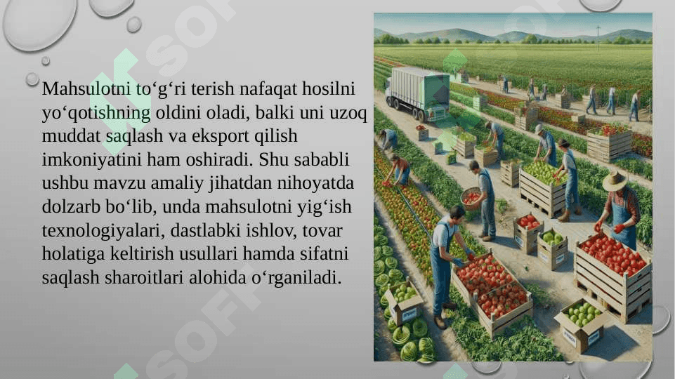 Taqdimot , Slayd 4