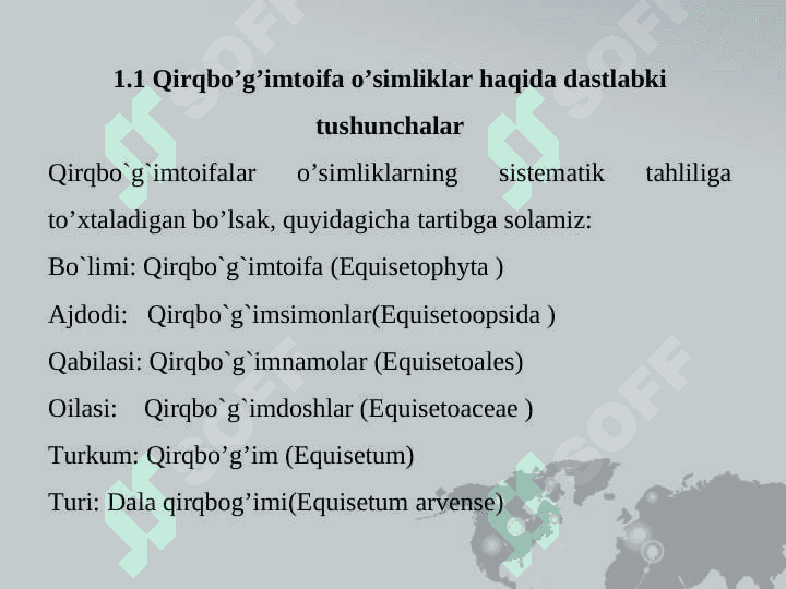 Qirqbo'g'imtoifa o'simliklari 6