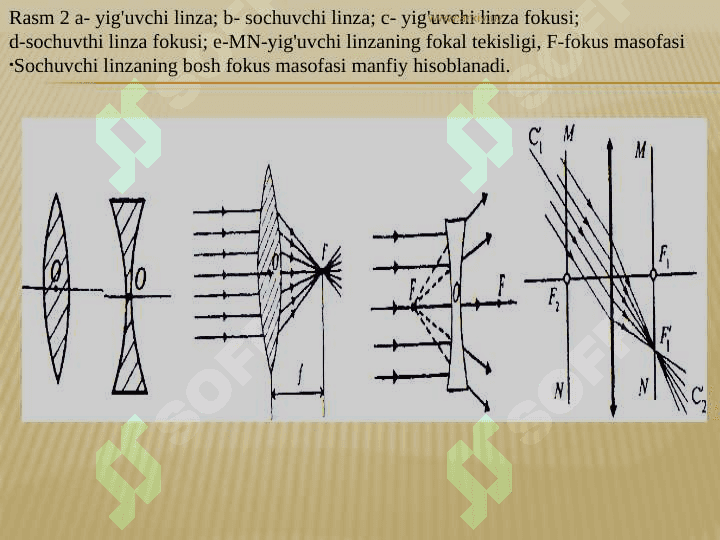 LINZALAR 4