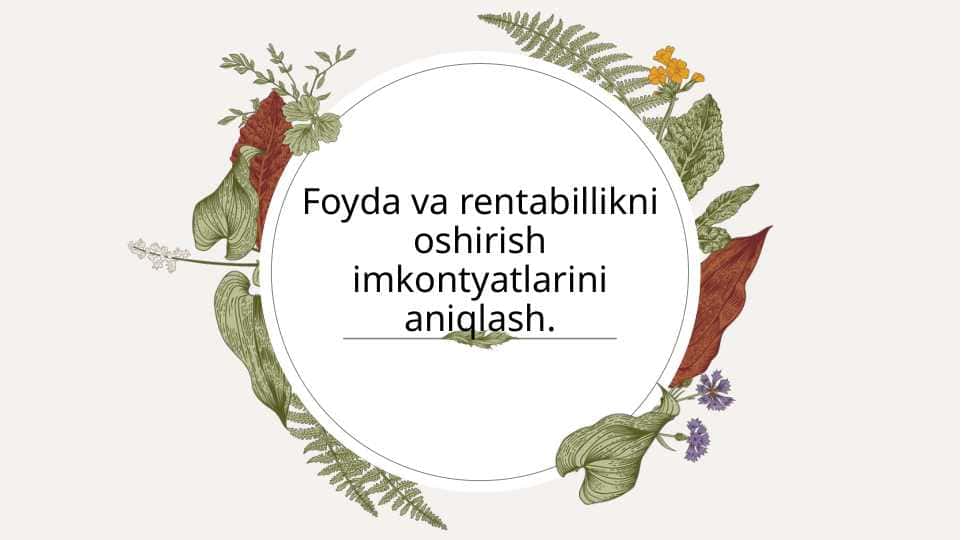 Foyda va rentabillikni oshirish imkontyatlarini aniqlash.