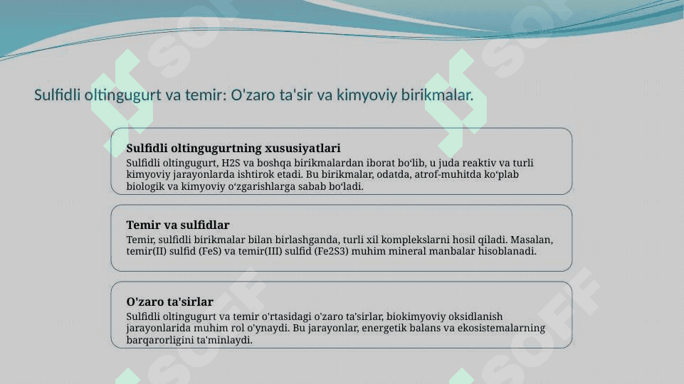 Sulfidli  oltingugurt va temirni biokimyoviy oksidlanish mehanizmi 4