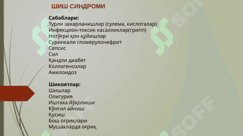 Buyrak kasalligi bo’lgan bemorlarda shish va AG patogenezi. Buyrak yetishmovchiligining laborator ko’rsatkichlari (Umimiy siydik tahlili, qon tahlili, bioximik qon tahlili)Buyrak kasalligi bo’lgan bemorlarda shish va AG patogenezi. Buyrak yetishmovchiligining laborator ko’rsatkichlari (Umimiy siydik tahlili, qon tahlili, bioximik qon tahlili) 2