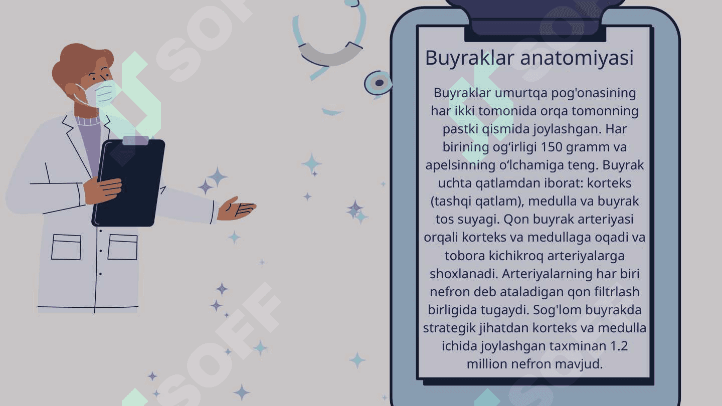 Ayiruv tizimining anatomo-fiziologik xususiyatlari 3