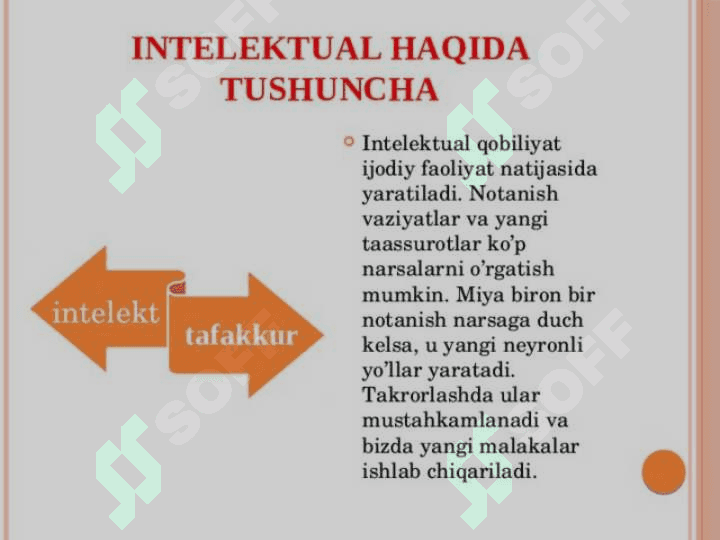 Intellekt va kreativlik 3