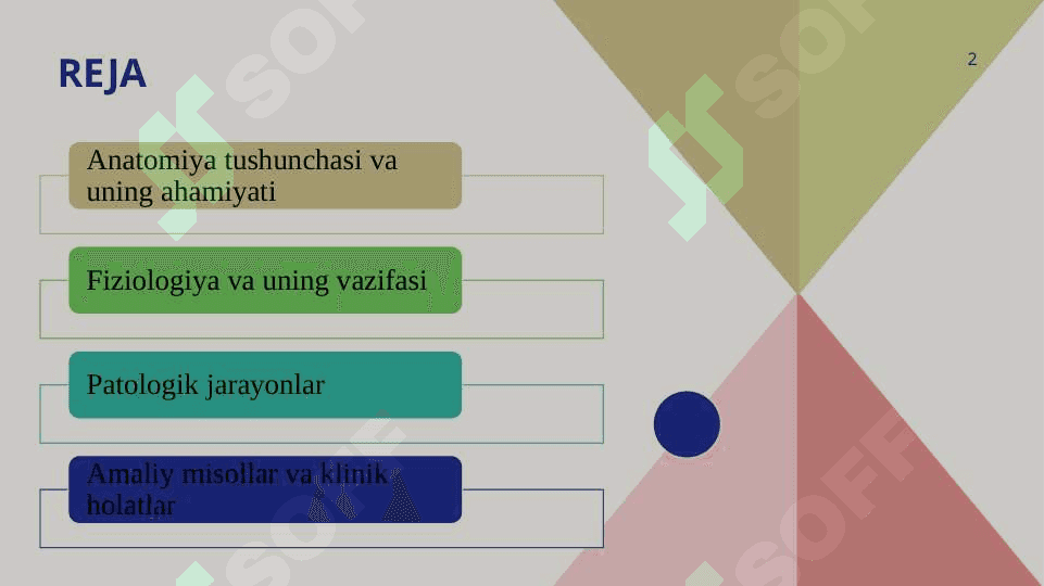 Anatomiya fizyalogiya va patalogiya 2
