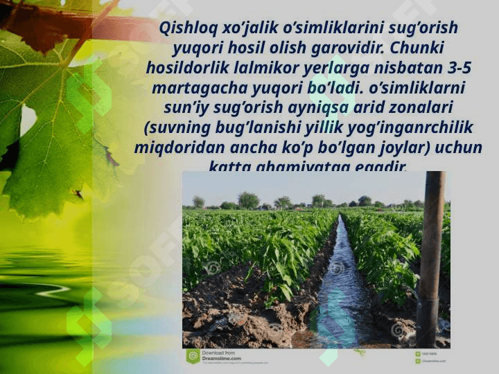 Qishloq xo’jaligida sog’orishning fiziologik ahamiyati 3