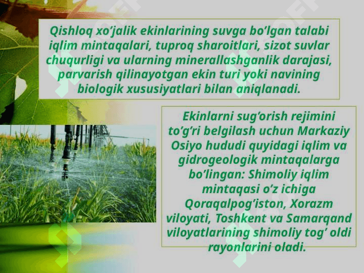 Qishloq xo’jaligida sog’orishning fiziologik ahamiyati 4