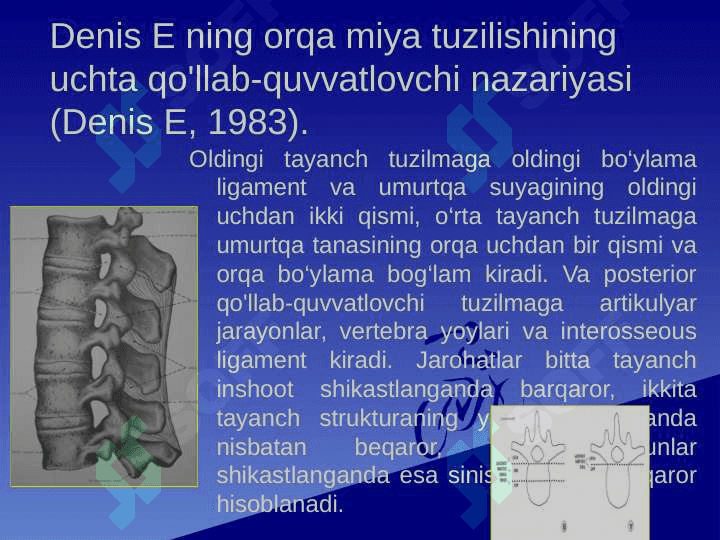 Umurtqa pog’onasi va orqa miya shikastlanishlari 4