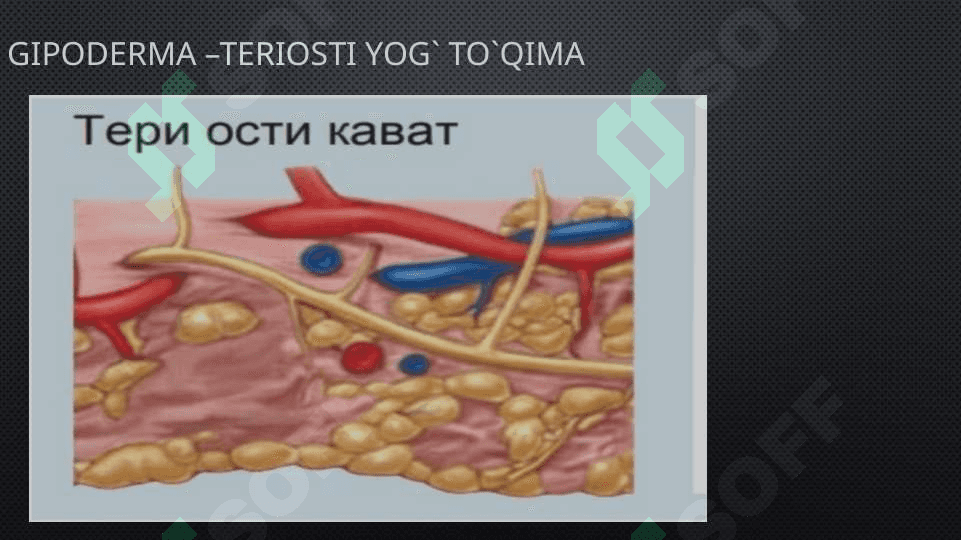 Keratinizatsiya jarayonlari haqida zamonaviy tasavvurlar 8