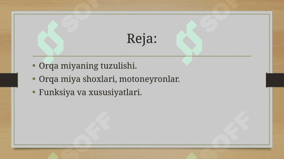 Orqa miyaning harakatlantiruvchi neyronlaring turlari , ularning morfo - funksional xususiyatlari 2