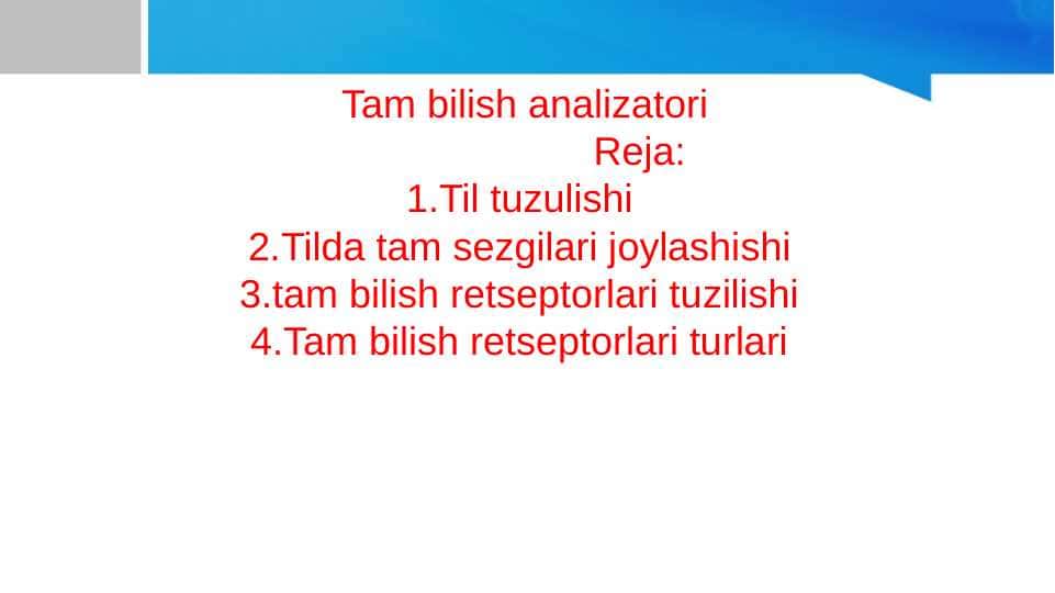 Tam bilish analizatori