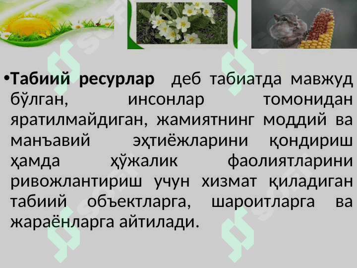 TABIIY RESURSLAR VA  ULARNING TURLARI 4