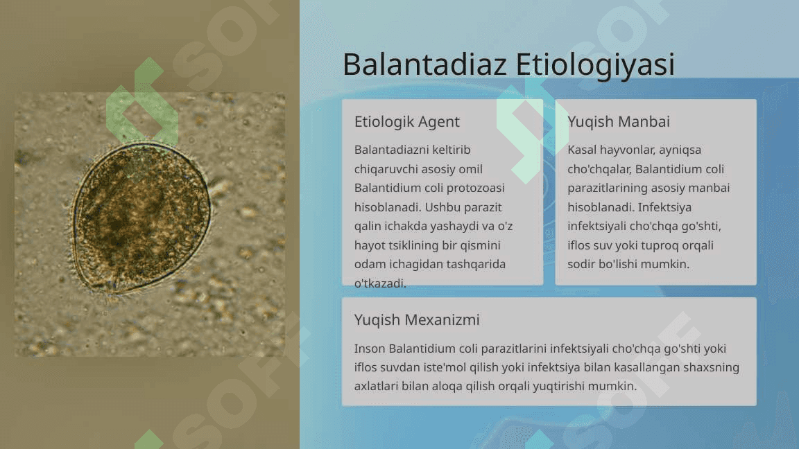 Balantadiaz 2