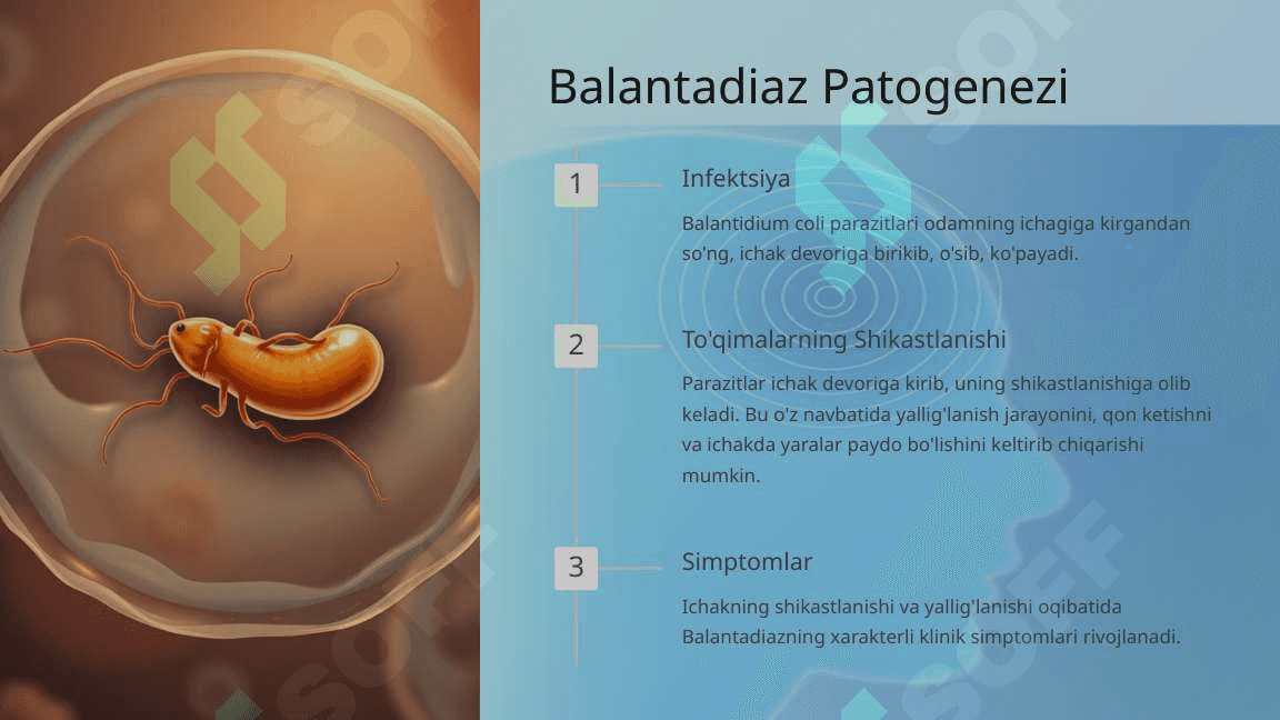 Balantadiaz 4