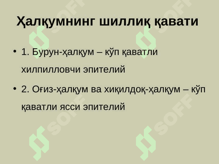 Халкумнинг  анатомияси. Ўткир ва  сурункали касалликлари 4