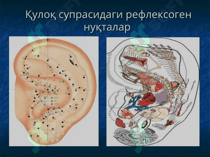Ташқи ва ўрта қулоқнинг ўткир ва сурункали яллиғланиш касалликлари 4
