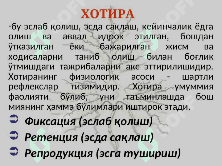 Хотира, диққат, эмоциялар, ирода, ихтиёрий фаолият, онг патологияси 2