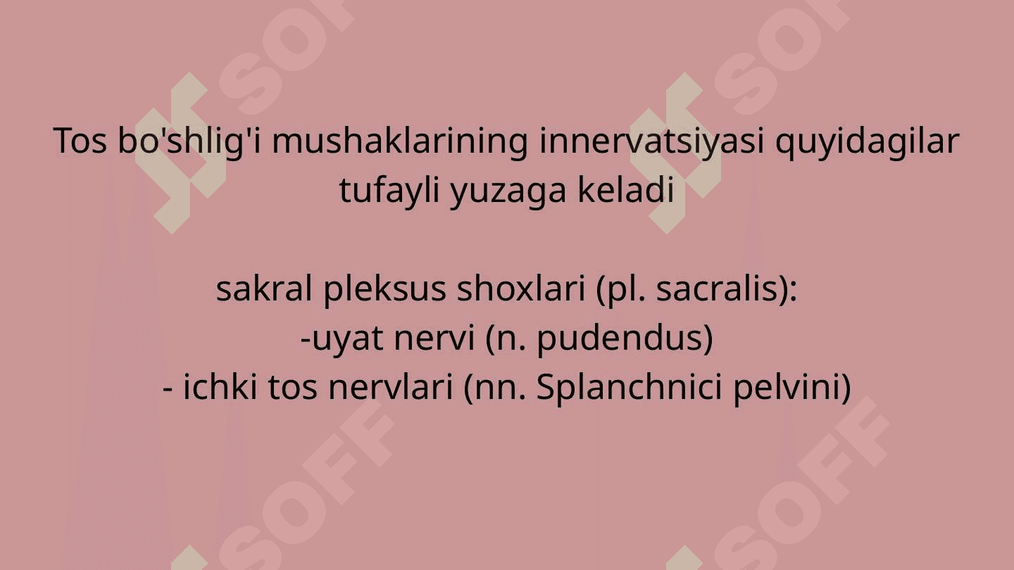 TOS ORGANLARI INNERVATSIYASI VA BUZILISH SINDROMLARI 3