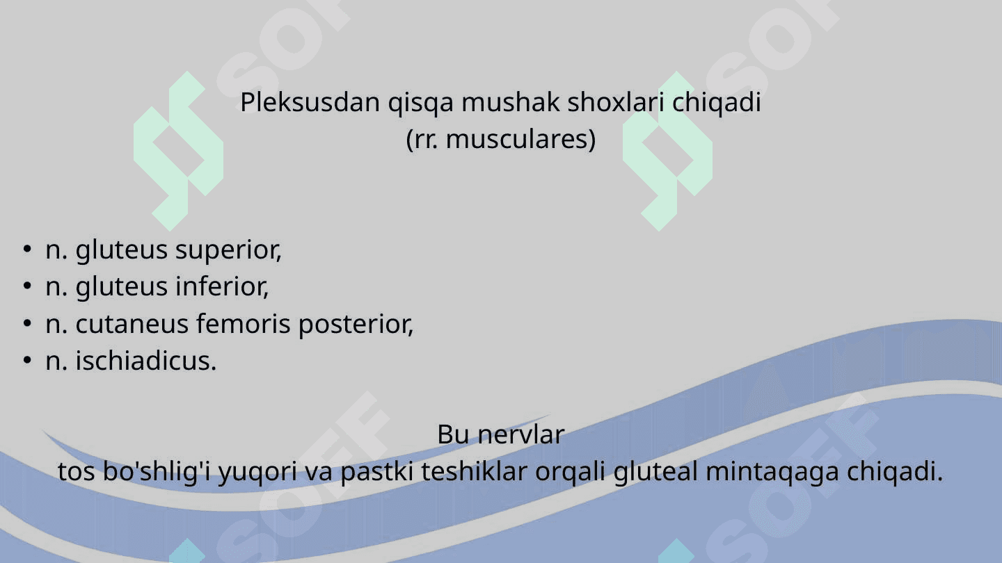 TOS ORGANLARI INNERVATSIYASI VA BUZILISH SINDROMLARI 5