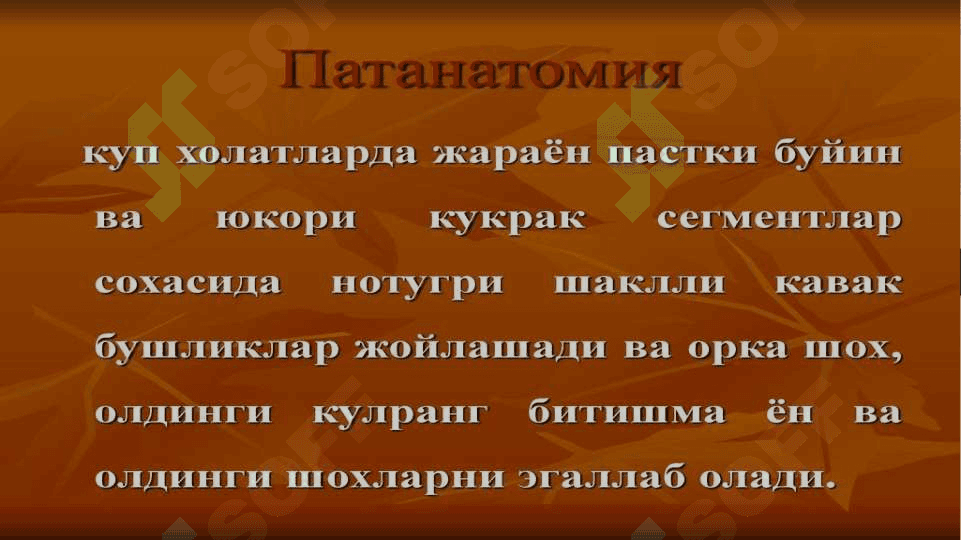 Siringomiyeliya 6