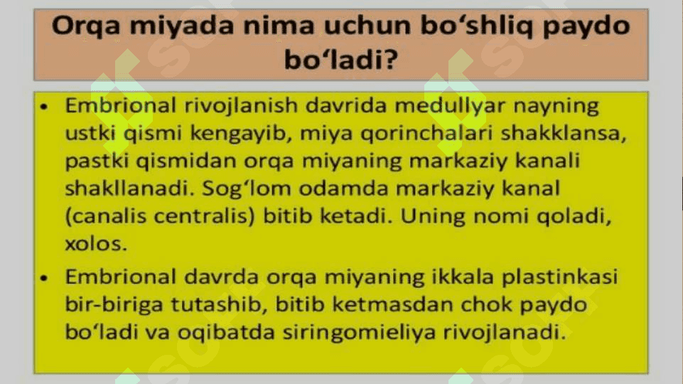 Siringomiyeliya 7